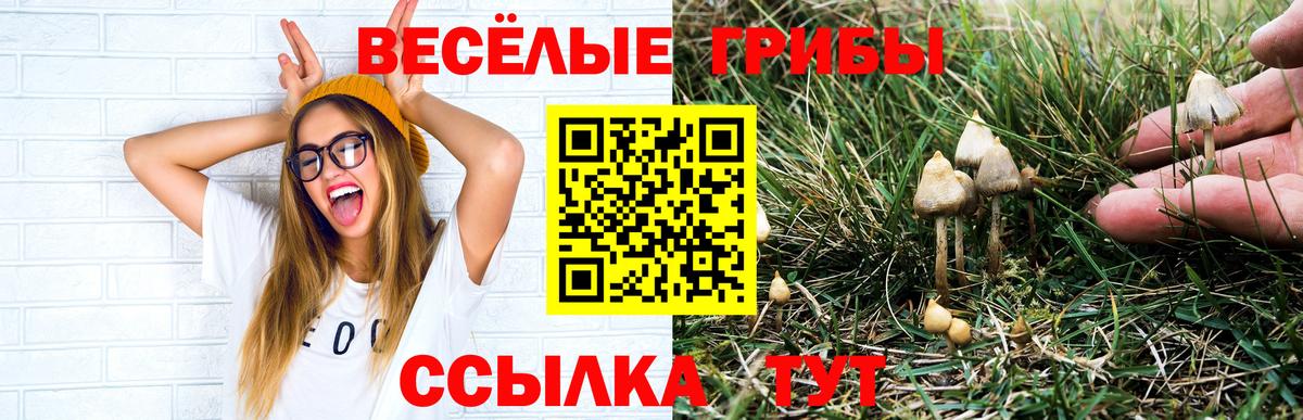 Россошь  Галлюциногенные грибы Magic Shrooms  Вход с VPN 