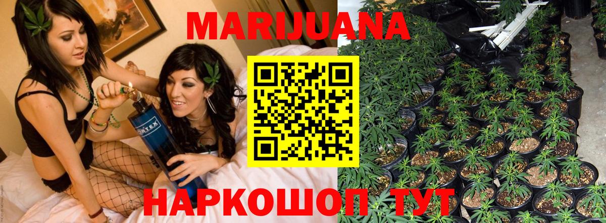 Конопля конопля Россошь